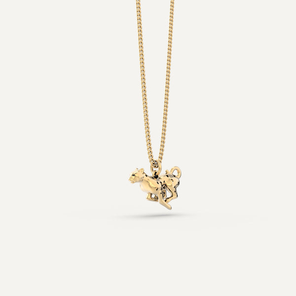 CH0202 Leopard