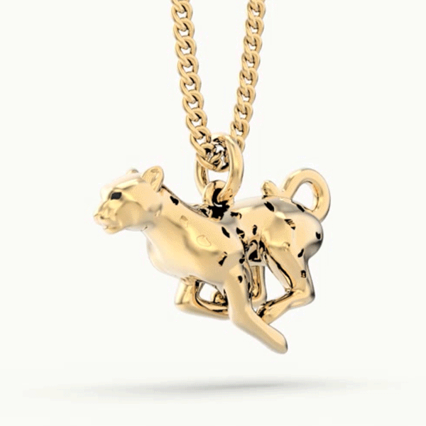 CH0202 Leopard