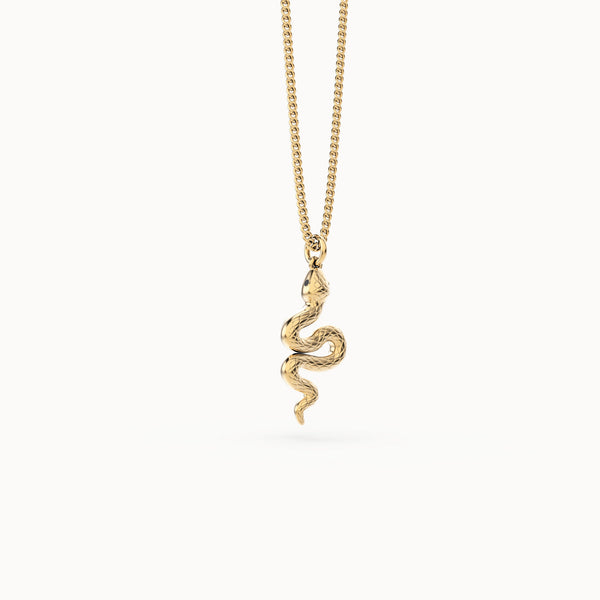 CH0203 Snake