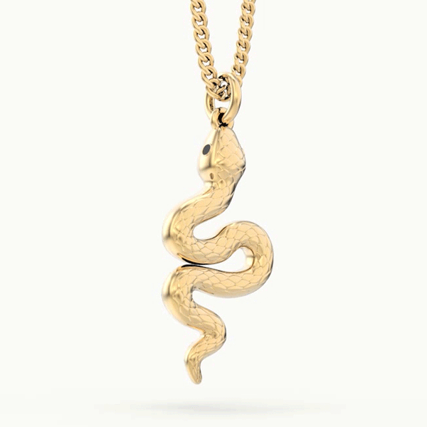 CH0203 Snake