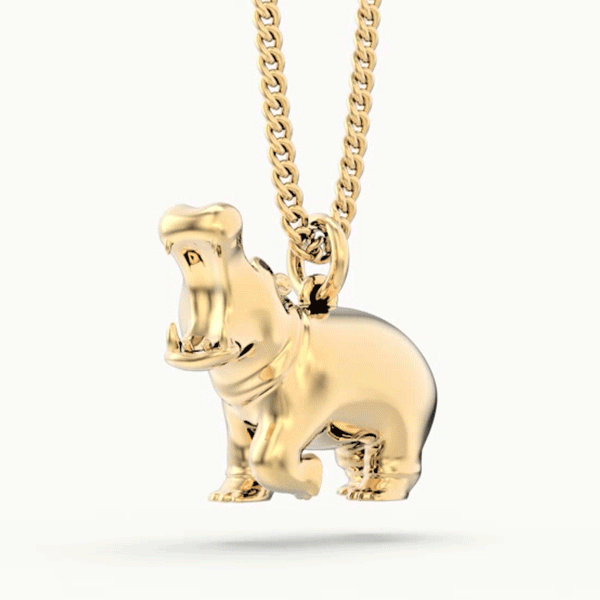 CH0204 Hippo