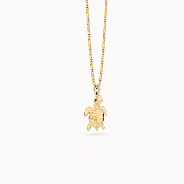 CH0303 Sea Turtle