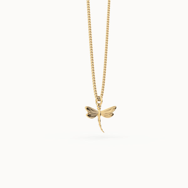 CH0304 Dragon Fly