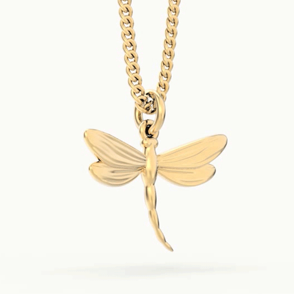 CH0304 Dragon Fly