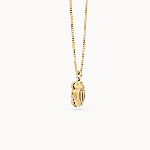 CH0305 Scara Beetle