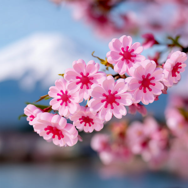 MTM387-01 （桜）
